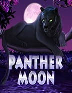 เว็บ สล็อต ฝาก ผ่าน วอ ล เล็ ต เล่นง่าย ได้เงินเร็ว